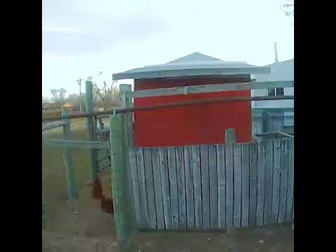 1618775040_hqdefault.jpg